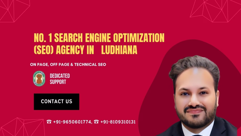 Best SEO Expert in Ludhiana
