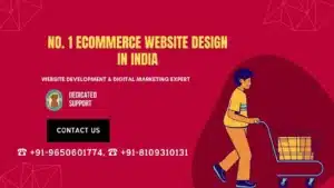 Ecommerce Website Design in India